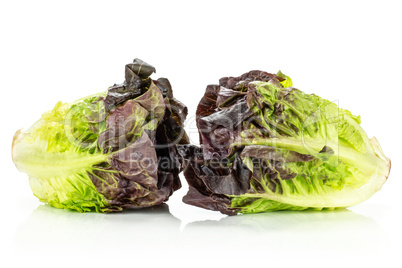 Fresh raw lettuce red little gem isolated on white