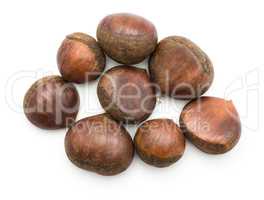 Raw edible Chestnut isolated on white