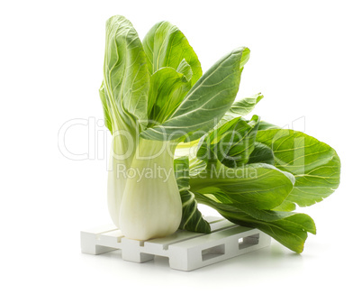 Fresh Bok choy isolated on white