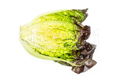 Fresh raw lettuce red little gem isolated on white Fresh raw lettuce red little gem isolated on white