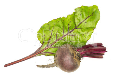 Fresh raw red beetroot isolated on white