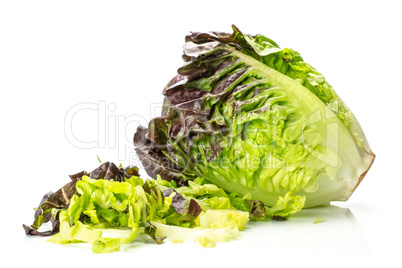 Fresh raw lettuce red little gem isolated on white