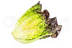 Fresh raw lettuce red little gem isolated on white