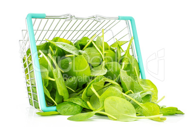 Fresh raw green spinach isolated on white