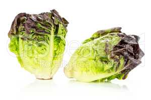 Fresh raw lettuce red little gem isolated on white