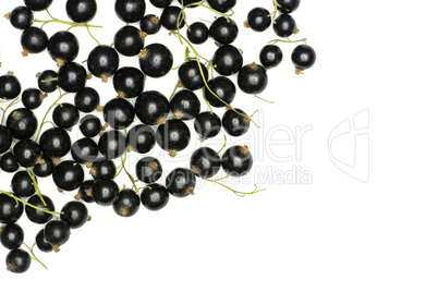 Fresh Raw Black Currant berry isolated on white