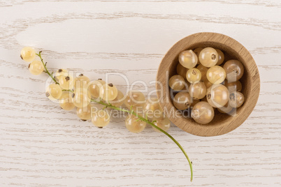 Fresh white currant berries on grey wood