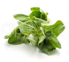 Fresh Bok choy isolated on white