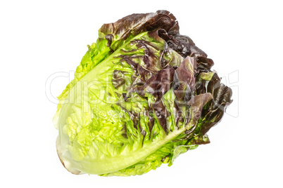 Fresh raw lettuce red little gem isolated on white