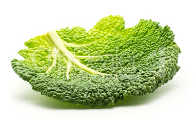 Fresh Savoy Cabbage isolated on white