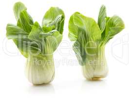 Fresh Bok choy isolated on white