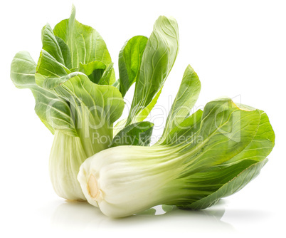 Fresh Bok choy isolated on white