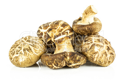 Fresh raw shitake mushroom isolated on white