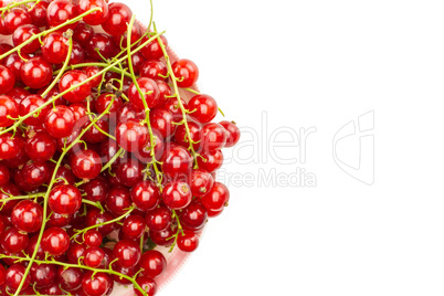 Fresh raw red currant isolated on white