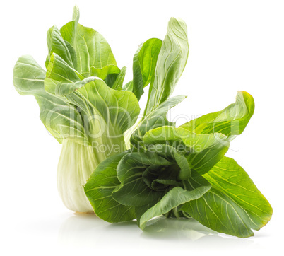 Fresh Bok choy isolated on white