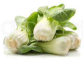 Fresh Bok choy isolated on white