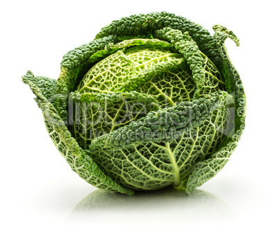 Fresh Savoy Cabbage isolated on white
