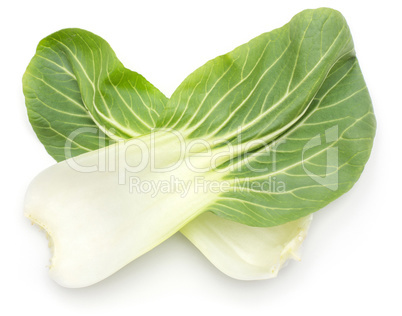 Fresh Bok choy isolated on white