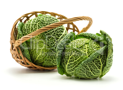 Fresh Savoy Cabbage isolated on white