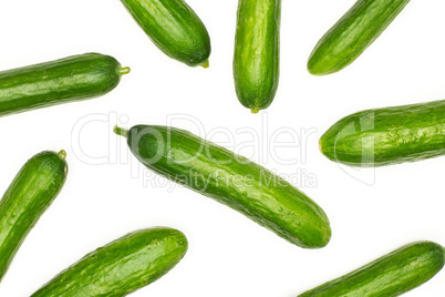 Fresh raw mini cucumber isolated on white