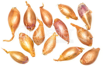 Fresh raw long shallot onion isolated on white