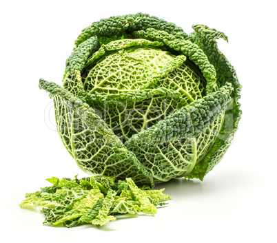 Fresh Savoy Cabbage isolated on white