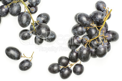 Fresh Black Wine Grapes isolated on white