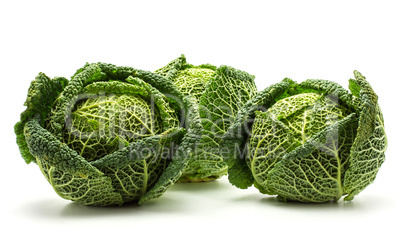 Fresh Savoy Cabbage isolated on white