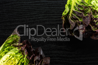 Fresh raw lettuce red little gem on black wood