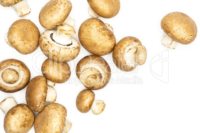 Fresh raw brown champignons isolated on white