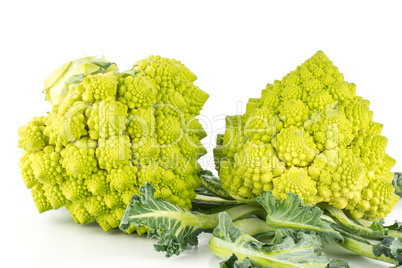 Fresh green romanesco cauliflower isolated on white