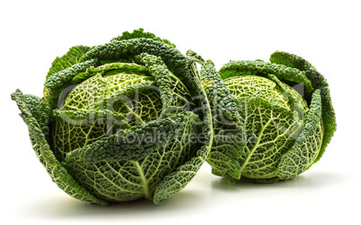 Fresh Savoy Cabbage isolated on white