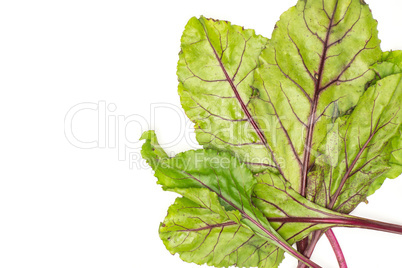 Fresh raw red beetroot isolated on white