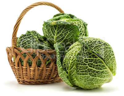 Fresh Savoy Cabbage isolated on white