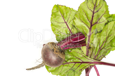 Fresh raw red beetroot isolated on white