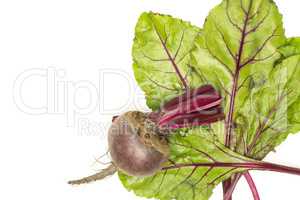 Fresh raw red beetroot isolated on white