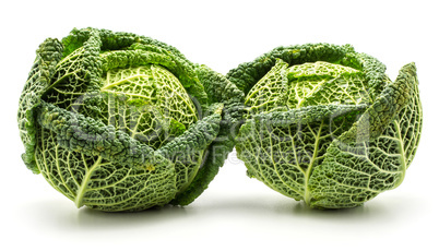 Fresh Savoy Cabbage isolated on white