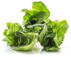 Fresh Bok choy isolated on white