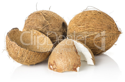 Fresh brown coconut isolated on white
