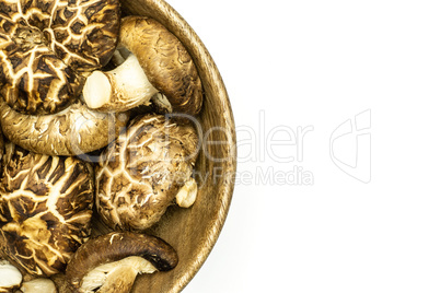 Fresh raw shitake mushroom isolated on white