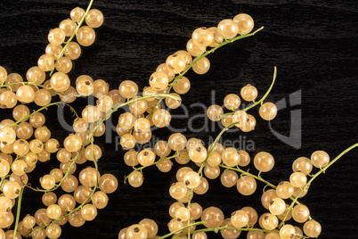 Fresh white currant berries on black wood