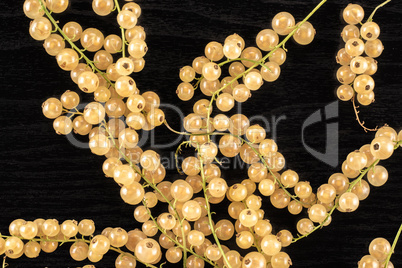 Fresh white currant berries on black wood