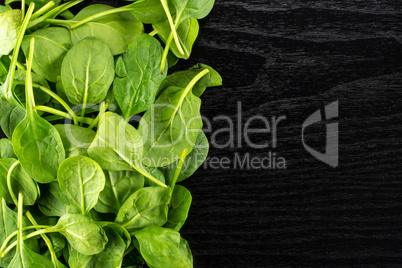 Fresh raw green spinach on black wood