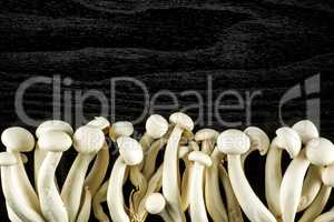 Fresh raw white shimeji mushroom on black wood