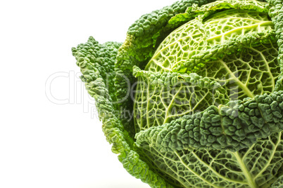 Fresh Savoy Cabbage isolated on white