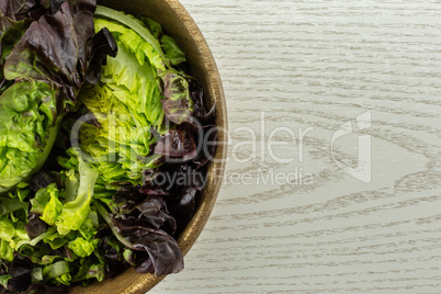 Fresh raw lettuce red little gem on grey wood