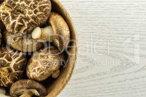 Fresh raw shitake mushroom on grey wood