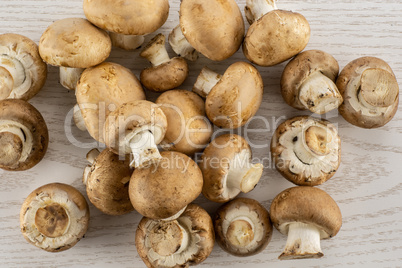 Fresh raw brown champignons on grey wood