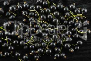 Fresh Raw Black Currant berry on black wood