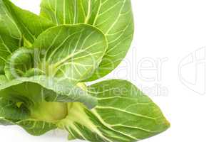 Fresh Bok choy isolated on white